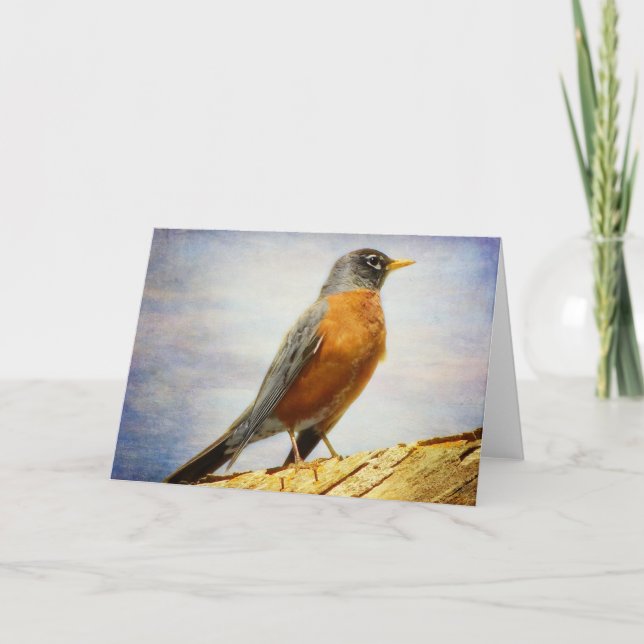 Carte de voeux American Robin Textée (Devant)