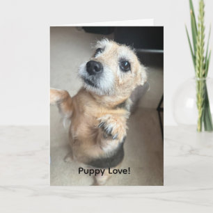 Carte de vœux Amour de chiot