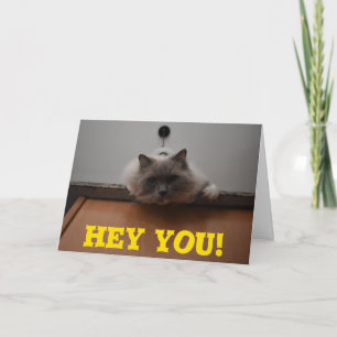 Carte de voeux amusante