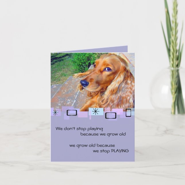 Carte de voeux anglaise Cocker Spaniel Anniversair (Devant)