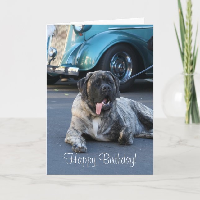 Carte de voeux anglaise de mastiff de joyeux (Devant)
