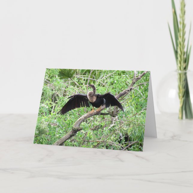 Carte de voeux Anhinga (0071) (Devant)