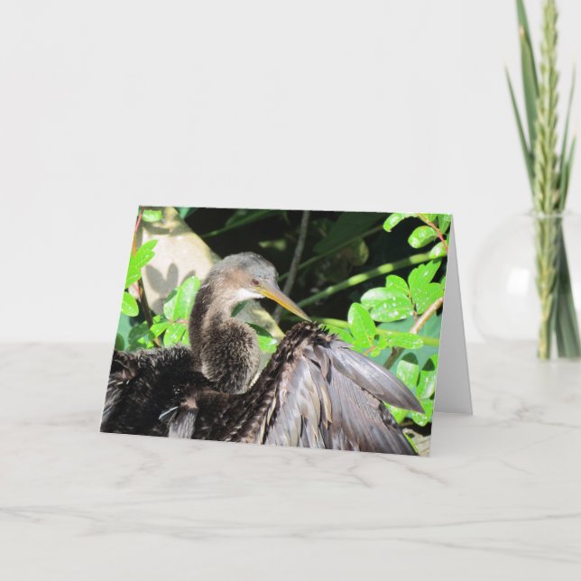 Carte de voeux Anhinga (2864) (Devant)