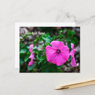 Carte de voeux annuelle rose