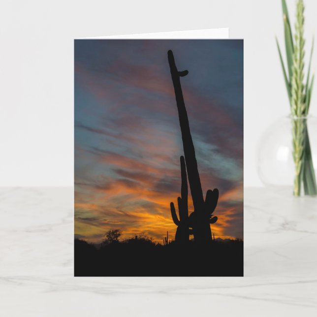 Carte de vœux Arizona Coucher de soleil Saguaros A (Devant)