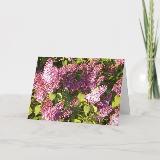 Carte de voeux assez pourpre de lilas (Devant)