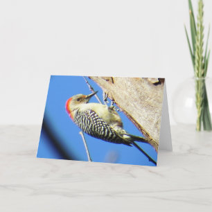 Carte de voeux au pic-rouge