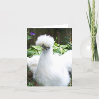 carte de voeux au poulet silkie