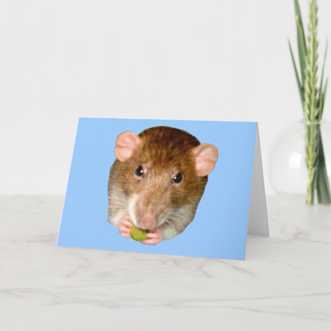Carte de voeux au rat affamé (Devant)