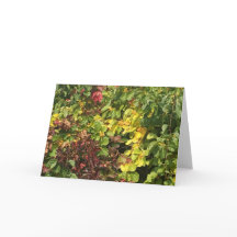 Carte de voeux Automne