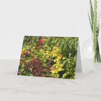 Carte de voeux Automne