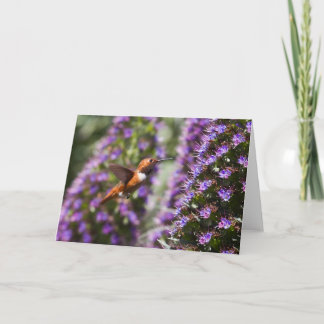 Carte de voeux aux colibris