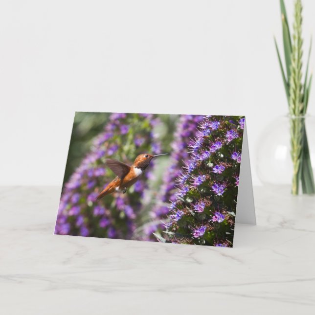 Carte de voeux aux colibris (Devant)