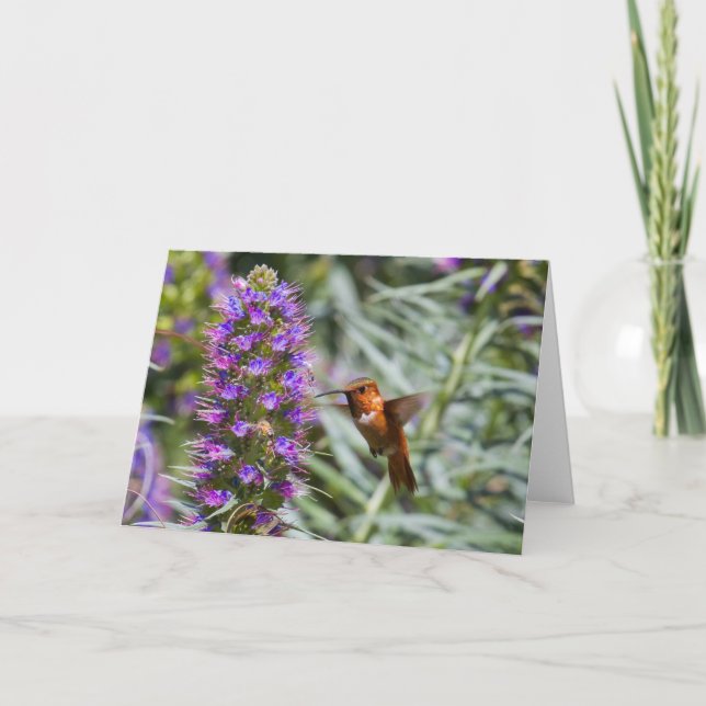 Carte de voeux aux colibris (Devant)