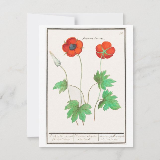 Carte de vœux aux coquelicots fleuris de style ant (Devant)