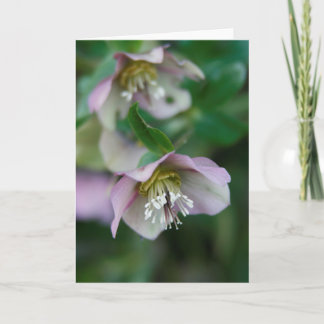 Carte de voeux aux fleurs violettes