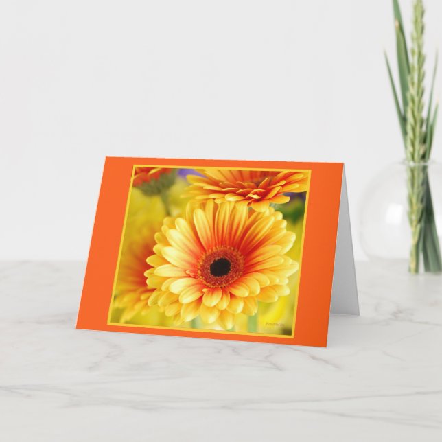 Carte de vœux aux gerbera (Devant)