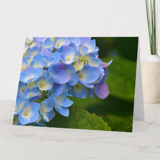 Carte de vœux aux hortensias