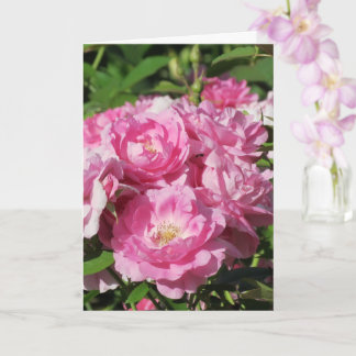 Carte de vœux aux roses pliées