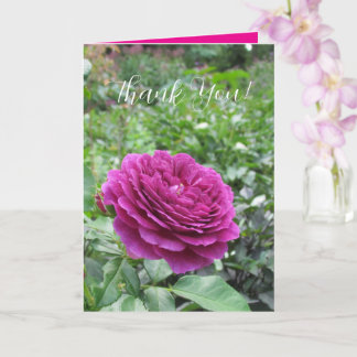 Carte de vœux aux roses pliées