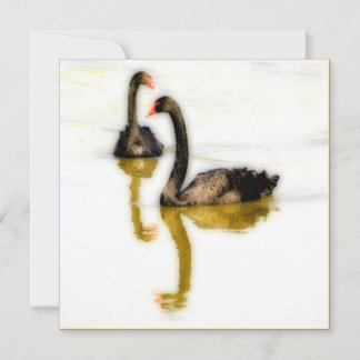 Carte de vœux avec deux cygnes noirs sur l'eau