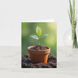Carte de vœux avec jeune plant en pot de terre cui