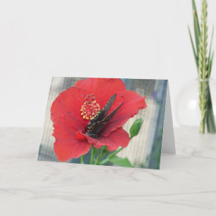 carte de voeux avec le papillon sur la fleur rouge