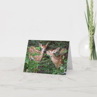 Carte de voeux Baby Deer Love and Friend