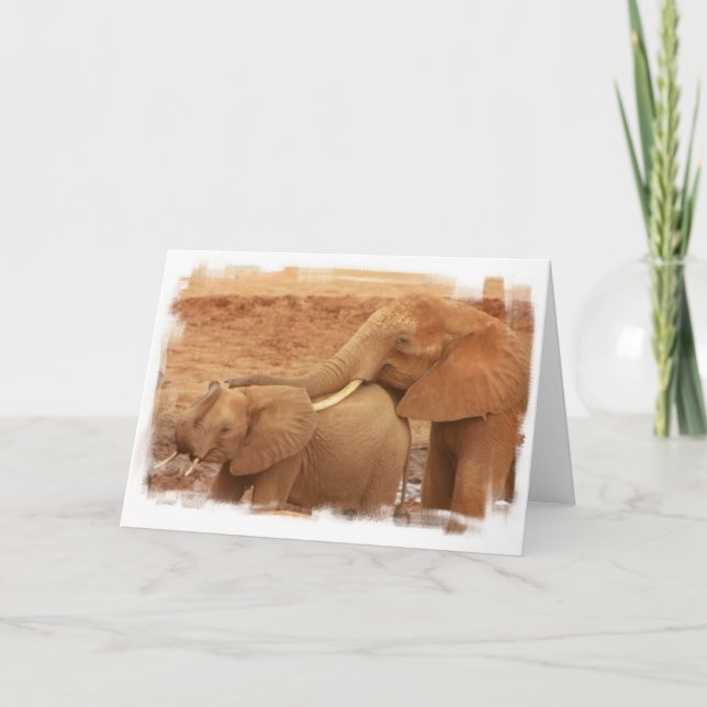 Carte de voeux Baby Elephant (Devant)