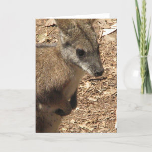 Carte de voeux Baby Kangaroo