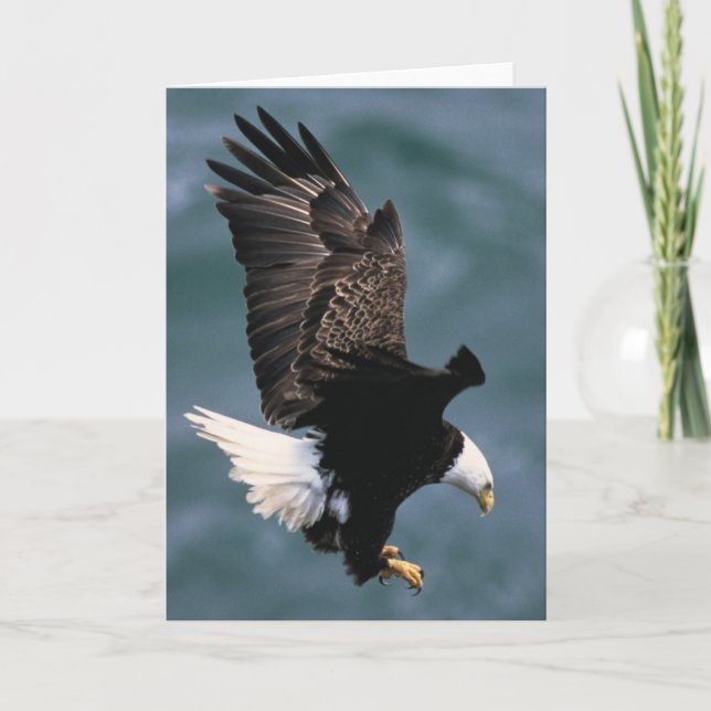 Carte de voeux Bald Eagle (Devant)