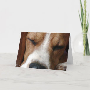 Carte de voeux Beagle dormant