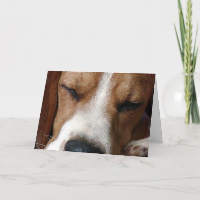 Carte de voeux Beagle dormant (Devant)
