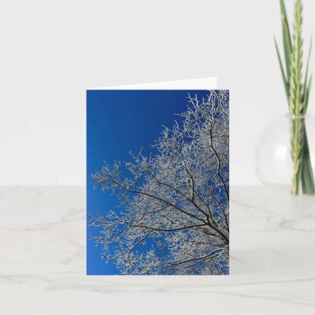 Carte de voeux Beauté d'hiver (Devant)