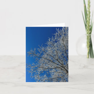 Carte de voeux Beauté d'hiver