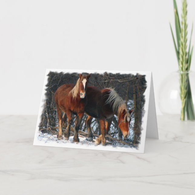 Carte de voeux belge de chevaux de trait (Devant)