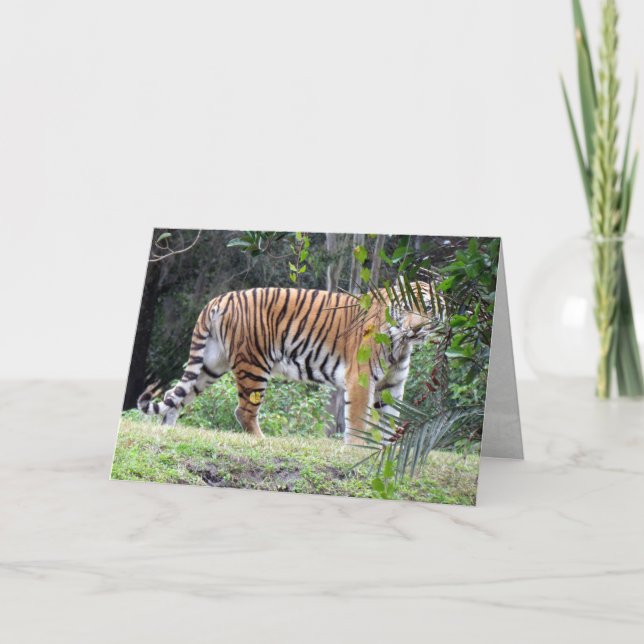 Carte de voeux Bengal Tiger (Devant)