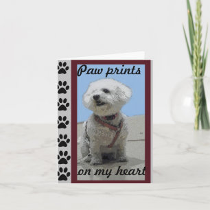 Carte de voeux Bichon Frise