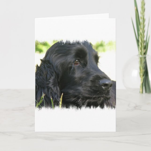 Carte de voeux Black Cocker Spaniel Dog (Devant)