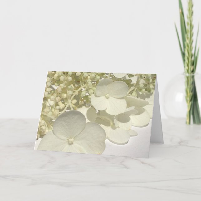 Carte de voeux Blanc Lacecap Hydrangea Fleurs (Devant)