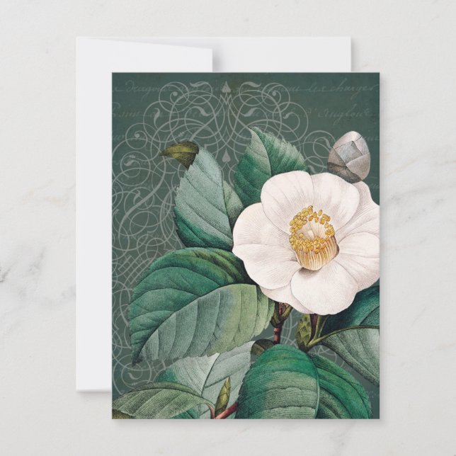 Carte de voeux blanche à plat Camellia (Devant)