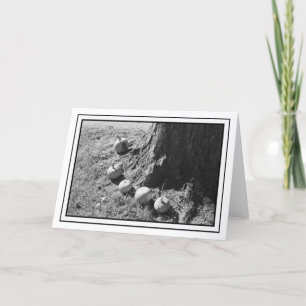 Carte de voeux blanche Citrouille d'automne