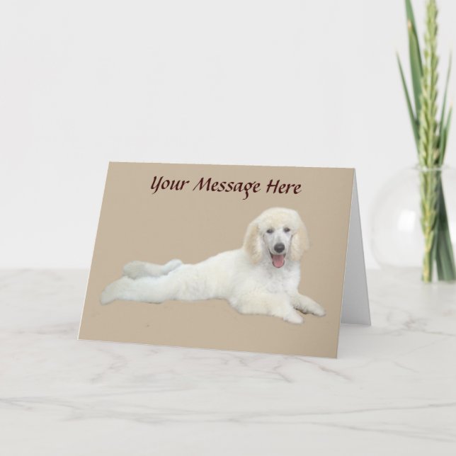 Carte de voeux blanche de caniche belle (Devant)