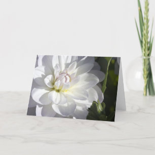 Carte de voeux blanche de dahlia