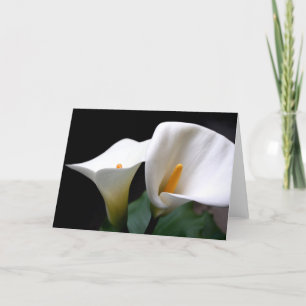 Carte de voeux blanche de fleur de zantedeschia