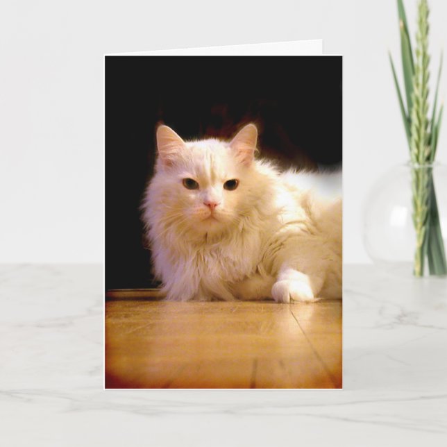 Carte de voeux blanche de sourire de chat (Devant)