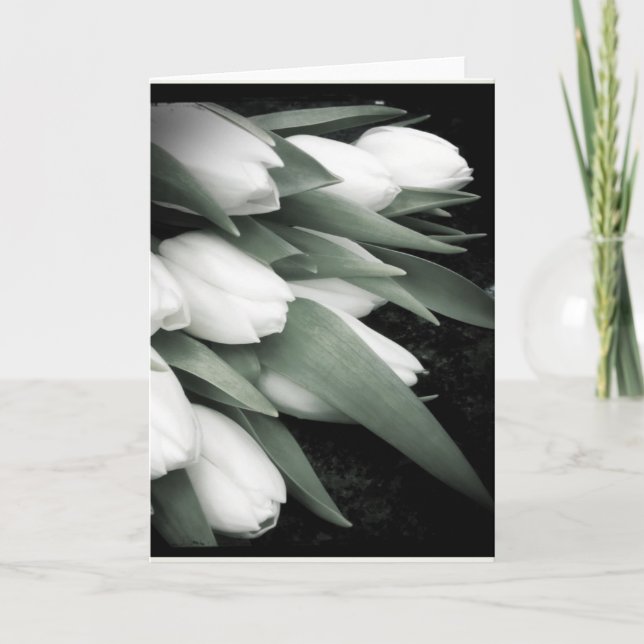 Carte de voeux blanche douce de blanc de tulipe (Devant)