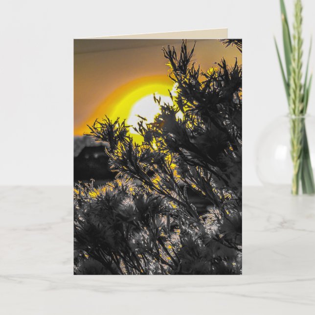 Carte de voeux blanche du coucher de soleil du dés (Devant)