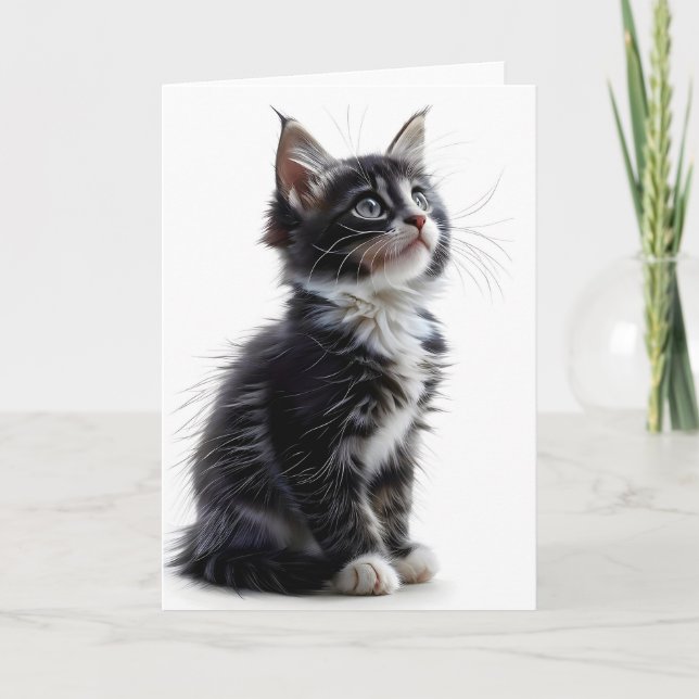 Carte de voeux blanche et noire pour chats à cheve (Devant)