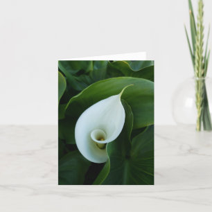 carte de voeux blanche feuille verte calla